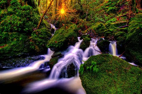 Wallpaper Sunlight Forest Waterfall Rock Nature