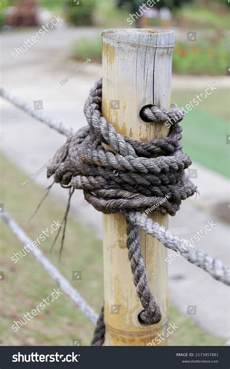Close Rope Tied Bamboo Make Stand Stock Photo 2173457881 Shutterstock