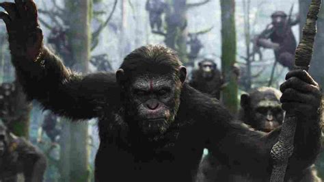 movie review dawn of the planet of the apes npr