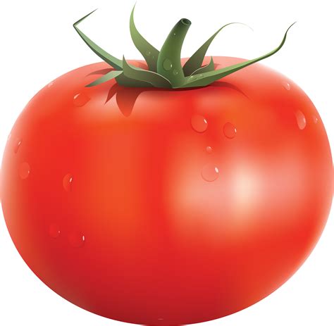 Tomato Png Vegetable Clip Art Tomato 3531x3451 Png Download