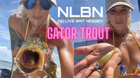 No Live Bait Needed Nlbn Lure Catching Gator Trout Youtube