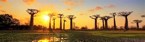 30 Interesting Madagascar Facts