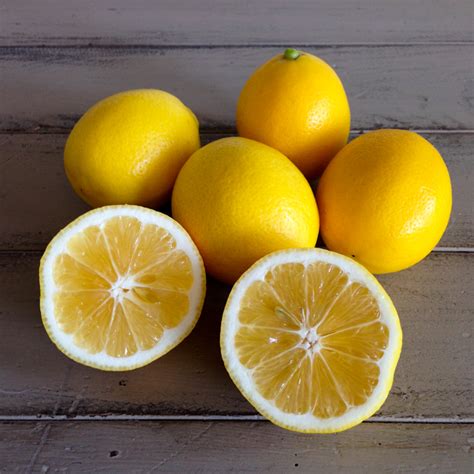 Organic Meyer Lemons — Fairview Orchards