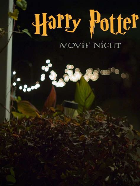 The series is distributed by warner bros. Harry Potter Movie Night Party Ideas | Harry potter movie ...