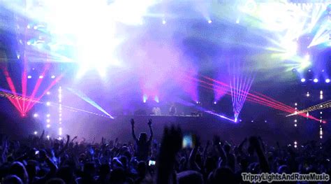Crowd Rave  Find And Share On Giphy