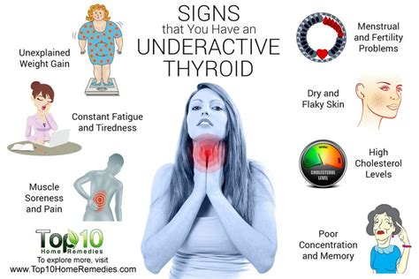 Signs And Symptoms Hypothyroidism Symptoms Of Disease