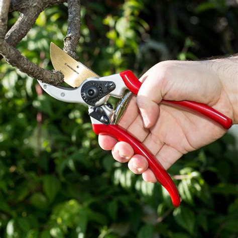 Best Hand Pruners The Best One You Can Get In 2018