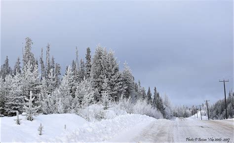 Northern Interior British Columbia Winters Heavy Frost And Snow Houston