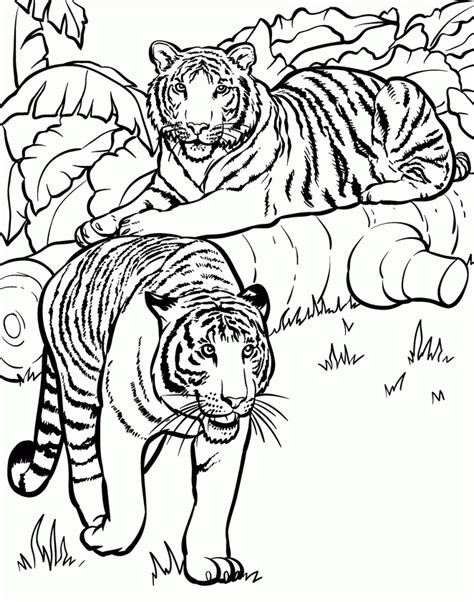 Free Coloring Pages For Adults Animals Download Free Coloring Pages