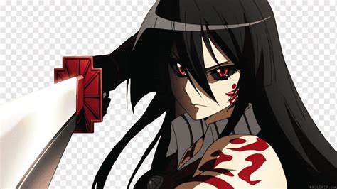Akame Ga Kill Manga Anime Kill Cg Artwork Black Hair Computer