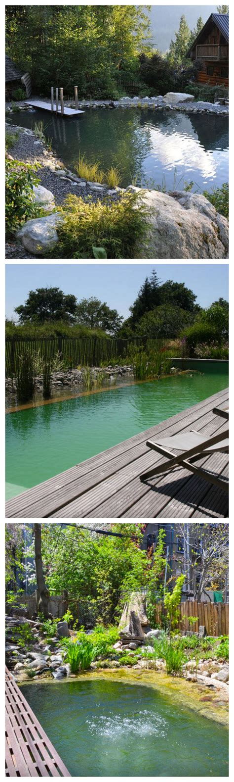 All Natural Swimming Pools Landscaping Swimming Pool Pond Natural