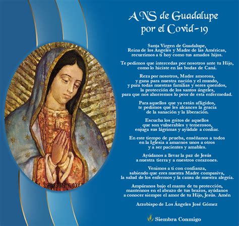 Oración A La Virgen De Guadalupe Virgen De Guadalupe Arte Virgen