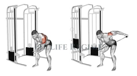 Rear Delt Cable Fly Muscle Worked Tips Alternate