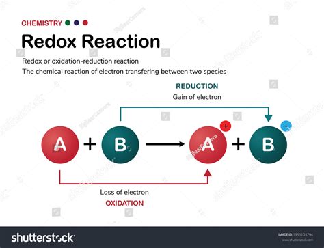 Vektor Stok Chemical Diagram Explain Redox Reaction Electron Tanpa