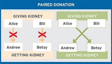 What To Consider Before Donating A Kidney