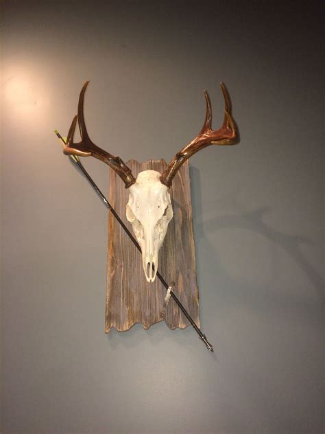 Deer Skull European Mount Western Home Decor 8 Points 295 Town