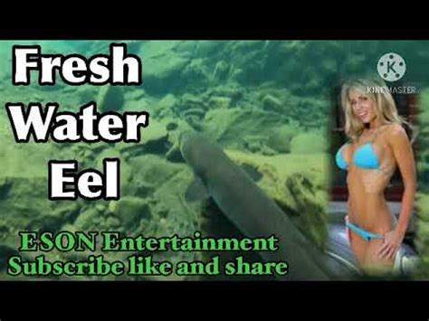 Fresh Water Eel Sexy Nude And Naked Models Slideshow YouTube