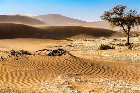 Namib Wüste Foto And Bild Natur Bilder Auf Fotocommunity