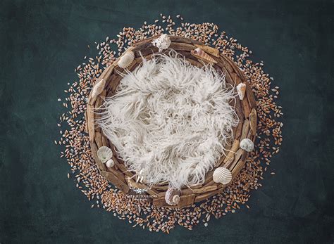 You must have experience in. Newborn Digital Backdrop (Down by the sea) ⋆ Newborn ...