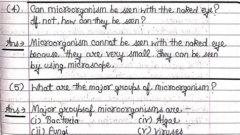 Ncert Class 8 Science Chapter 2 Microorganisms Friend And Foe