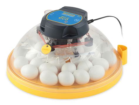 Maxi Ii Eco Manual Chicken Egg Incubator In 2020 Egg Incubator