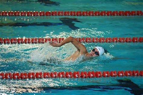 Nguyễn bỉnh khiêm (chữ hán: Kình ngư Nguyễn Huy Hoàng giành quyền dự Olympic 2020 ...