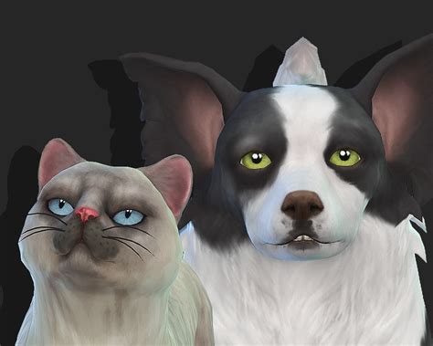 Sims 4 Cat And Dog Eye Recolor Etpcaster