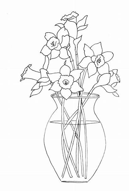 Daffodils Coloring Pages Daffodil Vase Drawing Paint