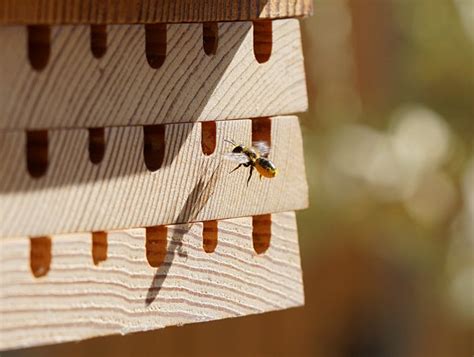 Hive Five Bee House · Really Well Made