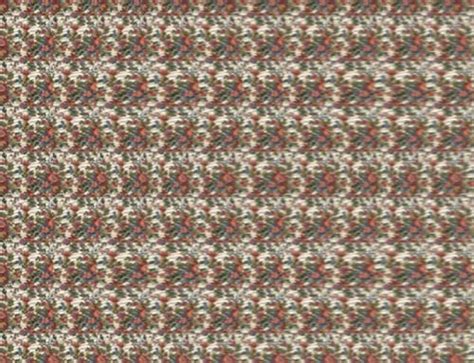 What Hides This Stereogram Brain Teasers 2035