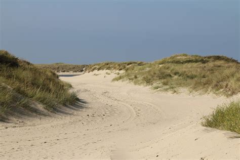 Free Images Sea Coast Nature Grass Sand Air Dune Bloom View