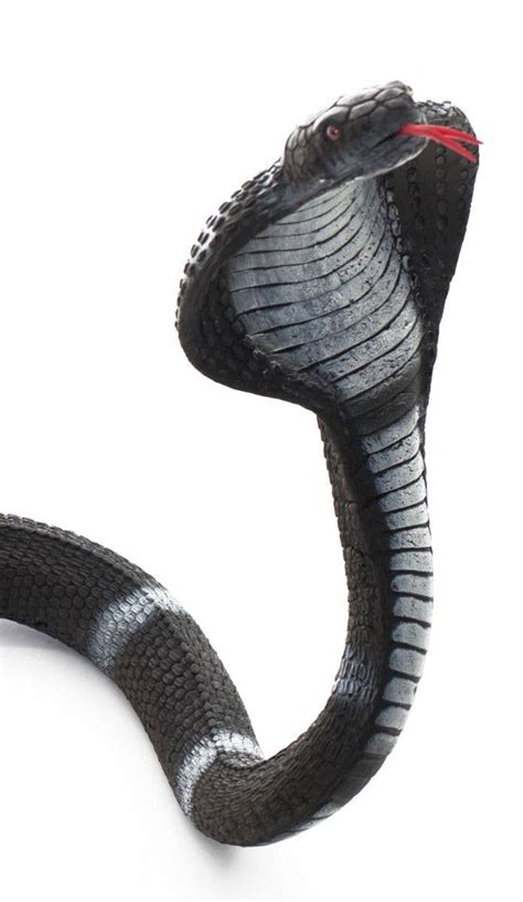 Serpent Snake Halloween Prop Giant Black Cobra Halloween Decoration