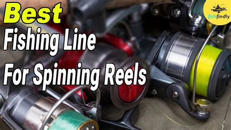 Best Fishing Line For Spinning Reels In 2020 Proper Guidelines