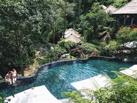Maya Ubud Resort And Spa Coconuts Directory
