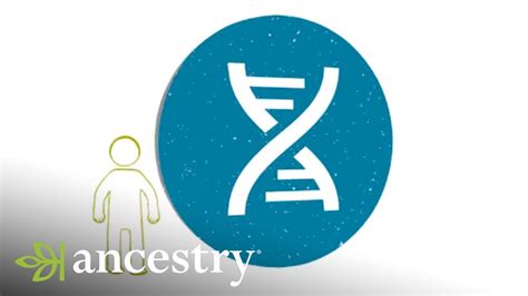 Ancestrydna Learn More About Ancestrydna Matches Ancestry Youtube