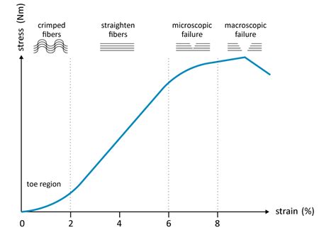 This curve represent behavior of any material or object during loading condition. A schematic drawing of the stress-strain curve for the ...