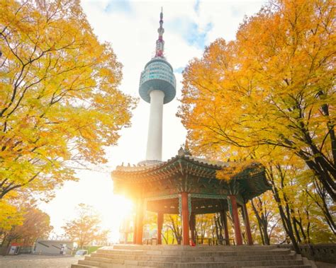 Best Time To Visit Seoul Complete Seasonal Guide Hoponworld