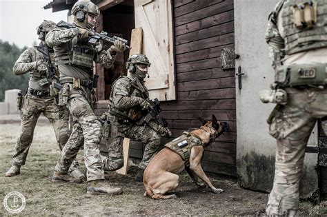 Photos Pictures Of Dogs In The Military And Police K9 Page 27 A