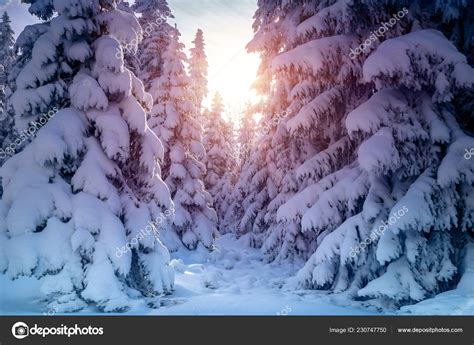 Images Of Winter Landscapes Agnesaupair