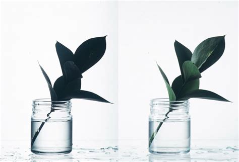 8 Creative Tricks To Improve Your Glass Photography In 2020 Glass