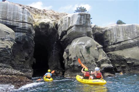 Book top tours on viator La Jolla Sea Cave Kayaks: Has Summer finally arrived in La ...