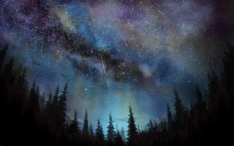 Stars Trees Sky Night 2880x1800 Wallpaper