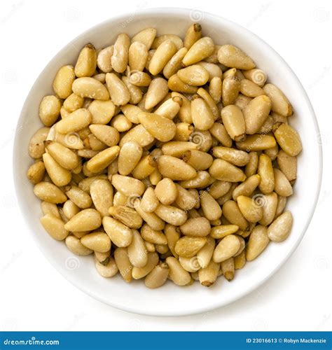 Pine Nuts In White Bowl Stock Image Image Of Pine Dish 23016613