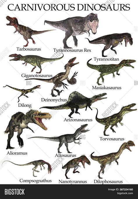 Carnivorous Dinosaurs Image And Photo Free Trial Bigstock