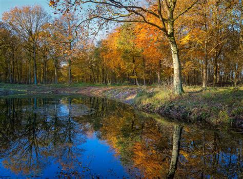 Free Photo Sunny Autumn Morning Park Water Warm Free Download