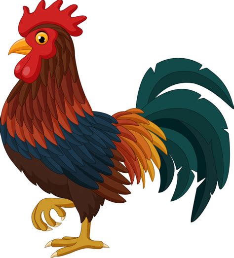 Cartoon Rooster Isolated On White Background Vector