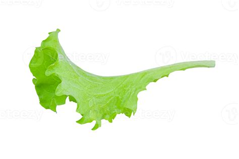 Green Lettuce Leaves Salad Isolated 10870462 Png