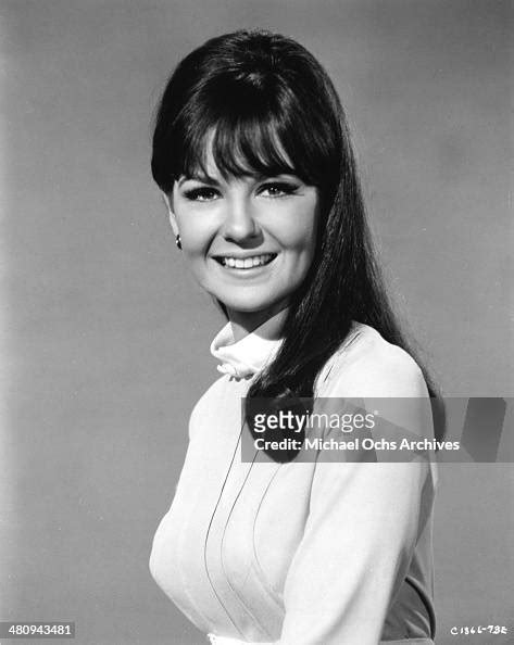 Entertainer Shelley Fabares Poses For A Portrait To Promote The News