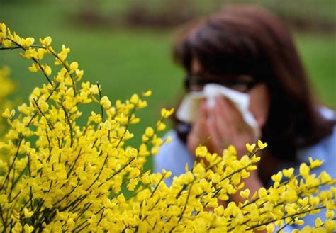 Allergy Season 2018 Starting Earlier Lasting Longer