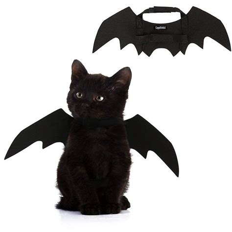 The Best Cat Costumes For Halloween Readers Digest Dog Spider